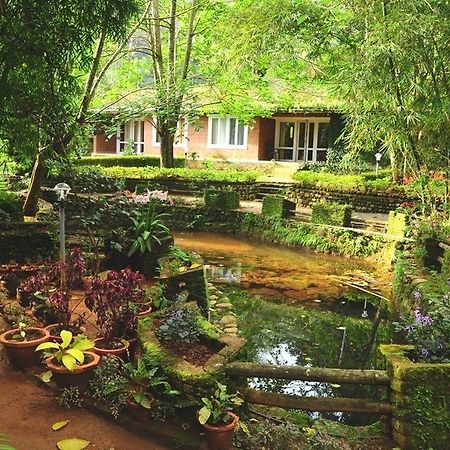 Falling Waters Munnar Ngoại thất bức ảnh
