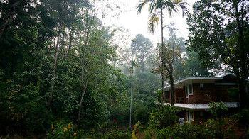 Falling Waters Munnar Ngoại thất bức ảnh