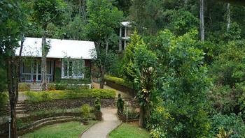 Falling Waters Munnar Ngoại thất bức ảnh