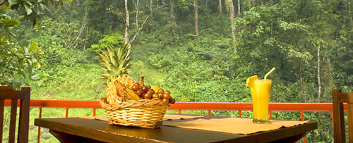 Falling Waters Munnar Ngoại thất bức ảnh